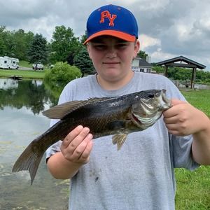 Meet your Posher, Michael